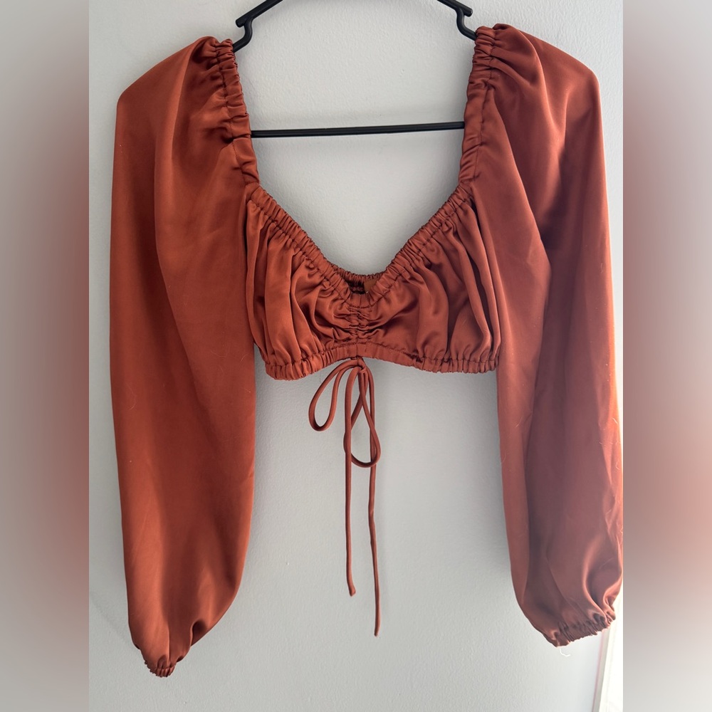 Beige Botany Satin Cropped Long Sleeve